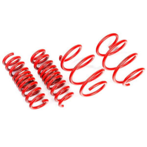 AST lowering springs for Citroen DS4