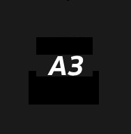 A3