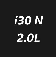 i30N